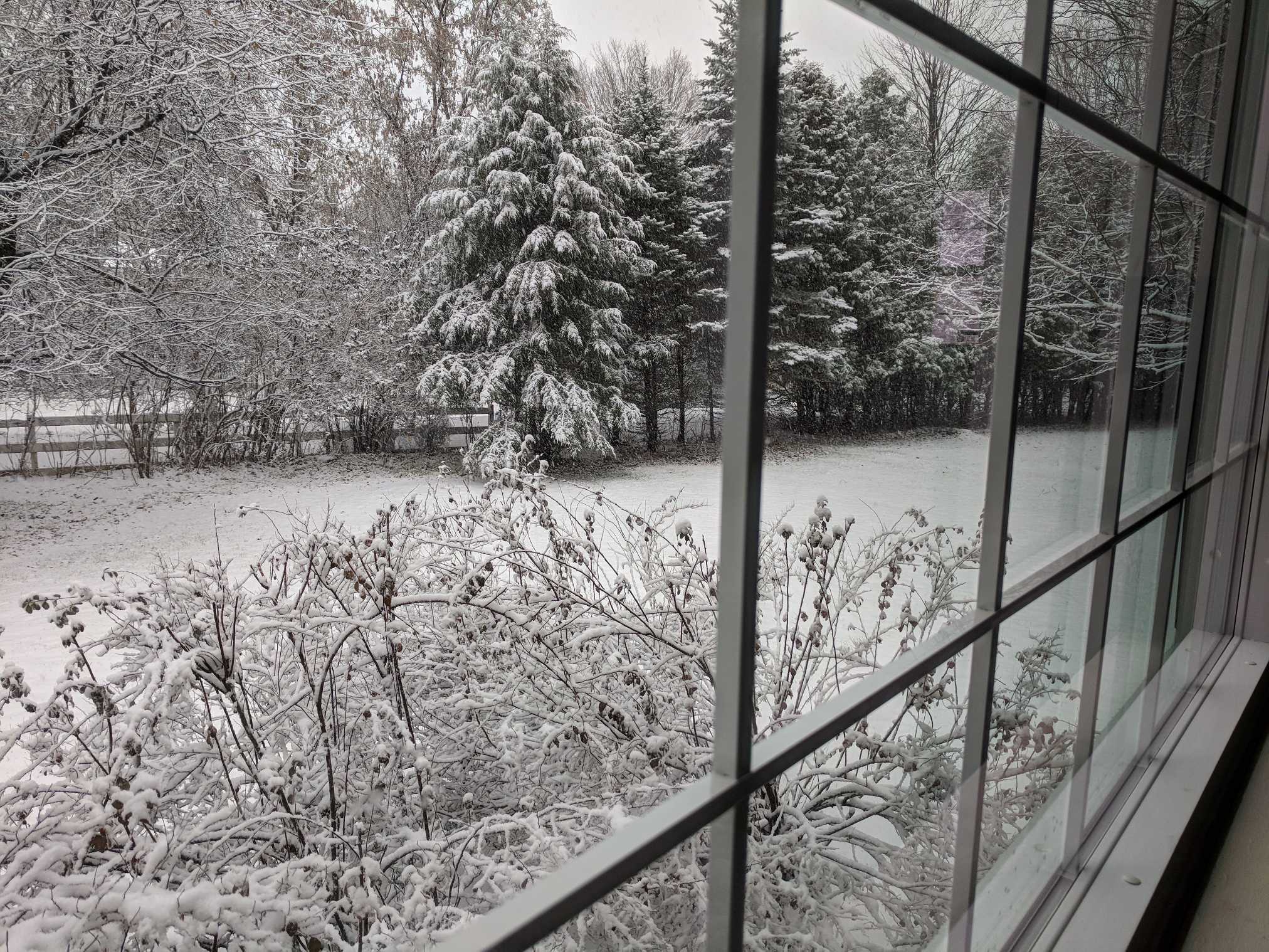 snowy window